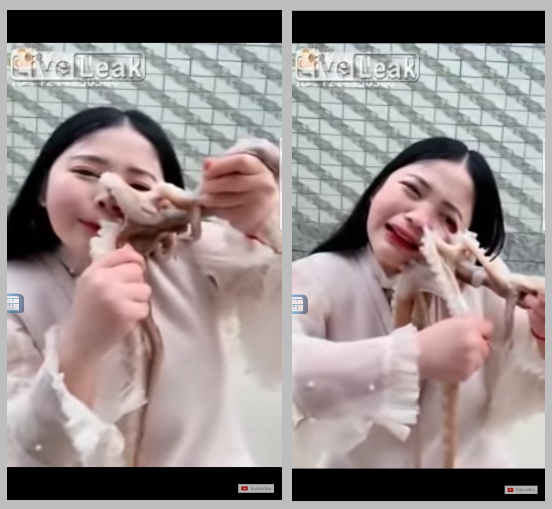 فتاة صينية تحدي أكل أخطبوط حي 