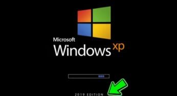 بالفيديو : نظام Windows Xp يعود الى الحياة من جديد بواجهة عصرية