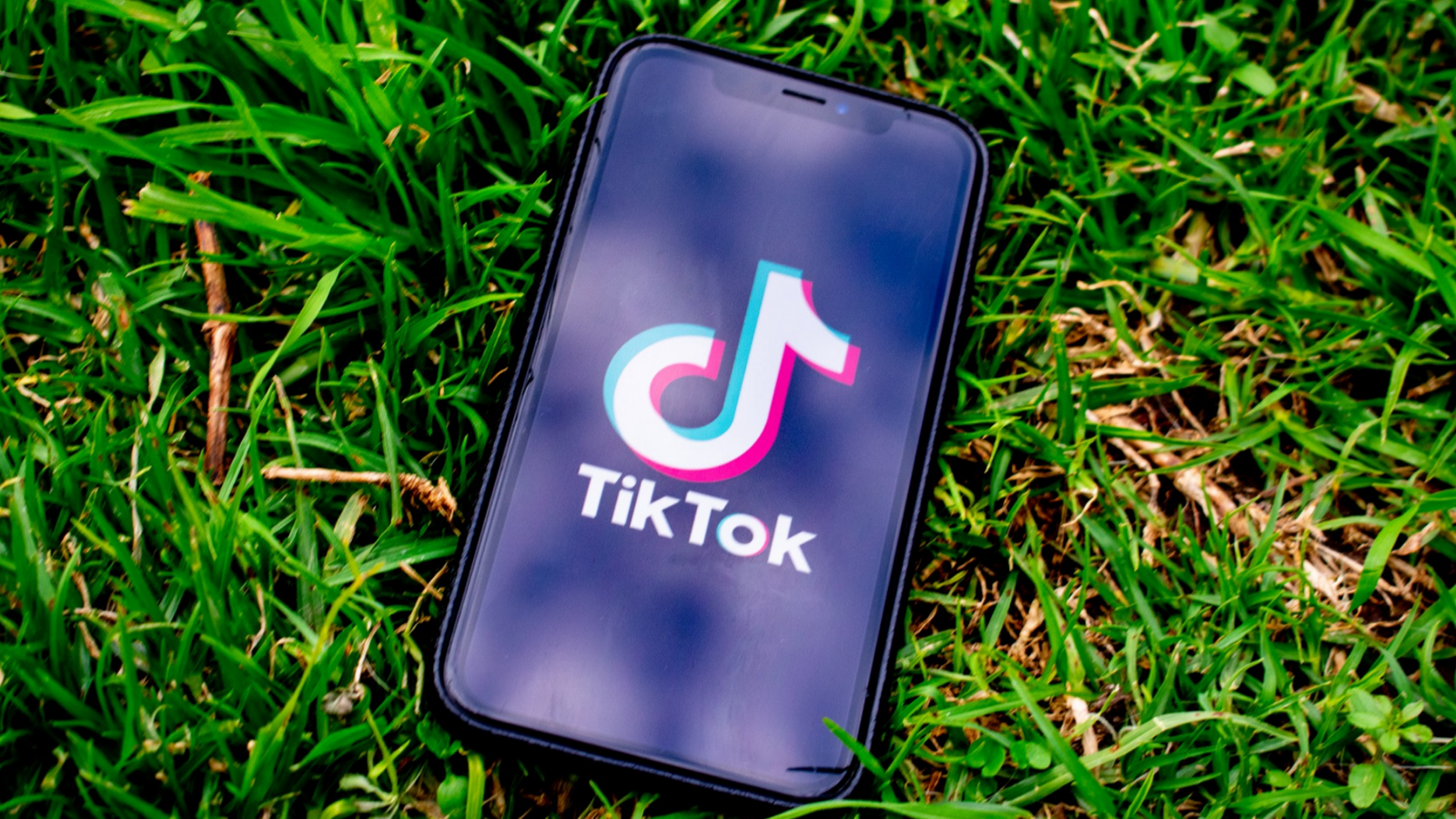 تويتر تنوي شراء TikTok قبل يوم 15 ديسمبر لمهلة ترامب !