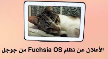 نظام Fuchsia OS من جوجل يظهر من جديد بشكل رسمي