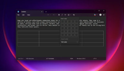 دعم الصور يصل إلى Notepad في ويندوز 11.. تحديث جديد يغيّر مستقبل المفكرة