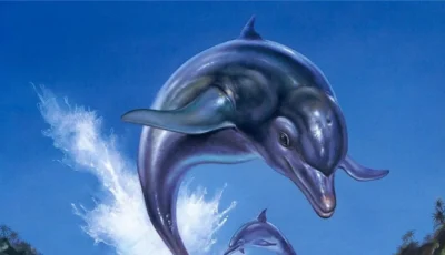 عودة لعبة Ecco the Dolphin يمثل تجربة شاملة تجمع بين الماضي والمستقبل